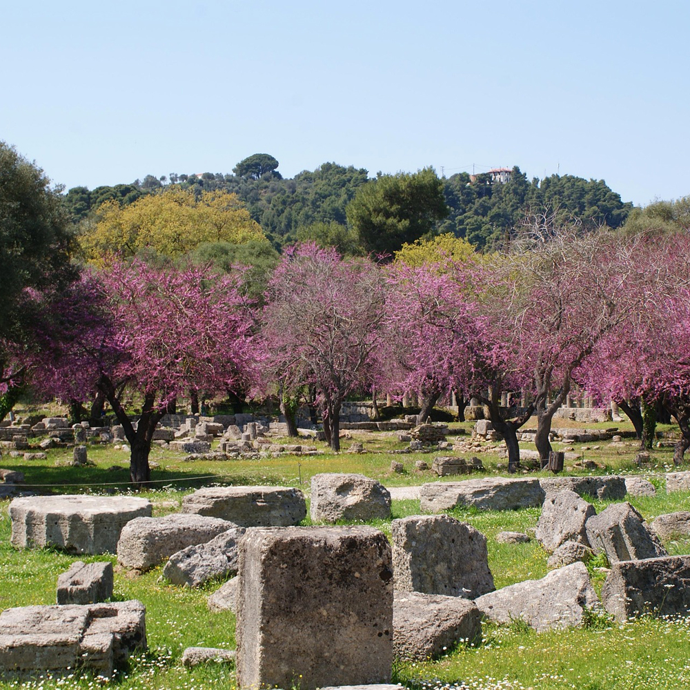 Ancient Olympia Tour