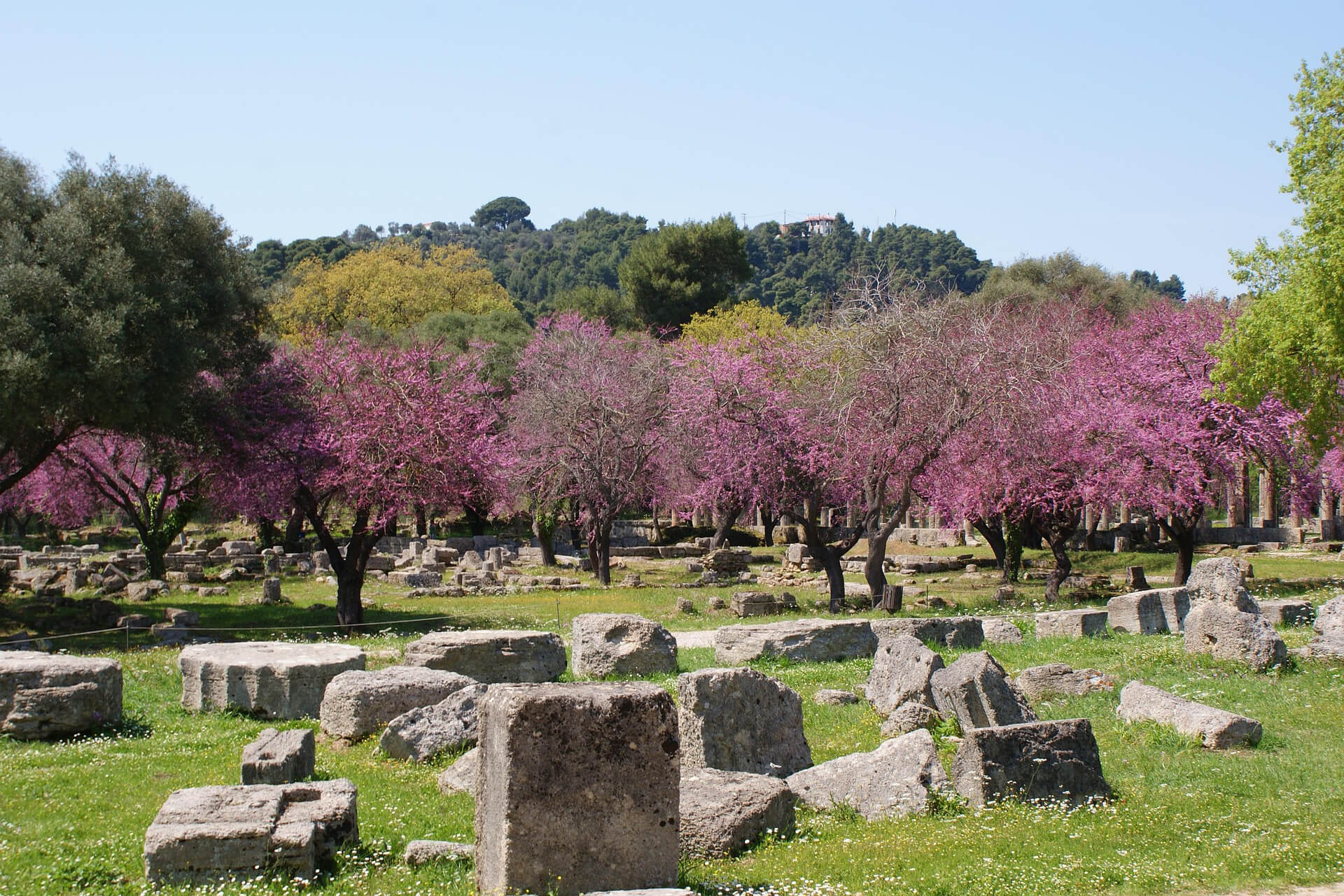 Ancient Olympia